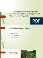 Maintaining The Growth of Vegetable - 085452