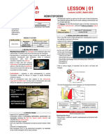 Week 1 - HEMATOPOIESIS