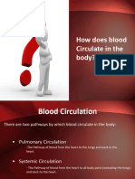 Ppt-Grade 9 - Blood Circulation