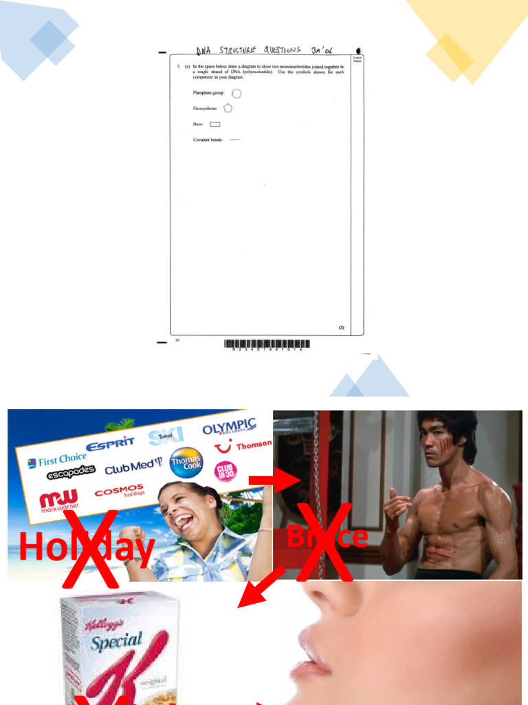 L3 4 dna replication and genetic code student pdf dna replication