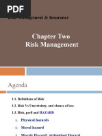 Risk Managemennt Chapter 2 - AAU - 2020