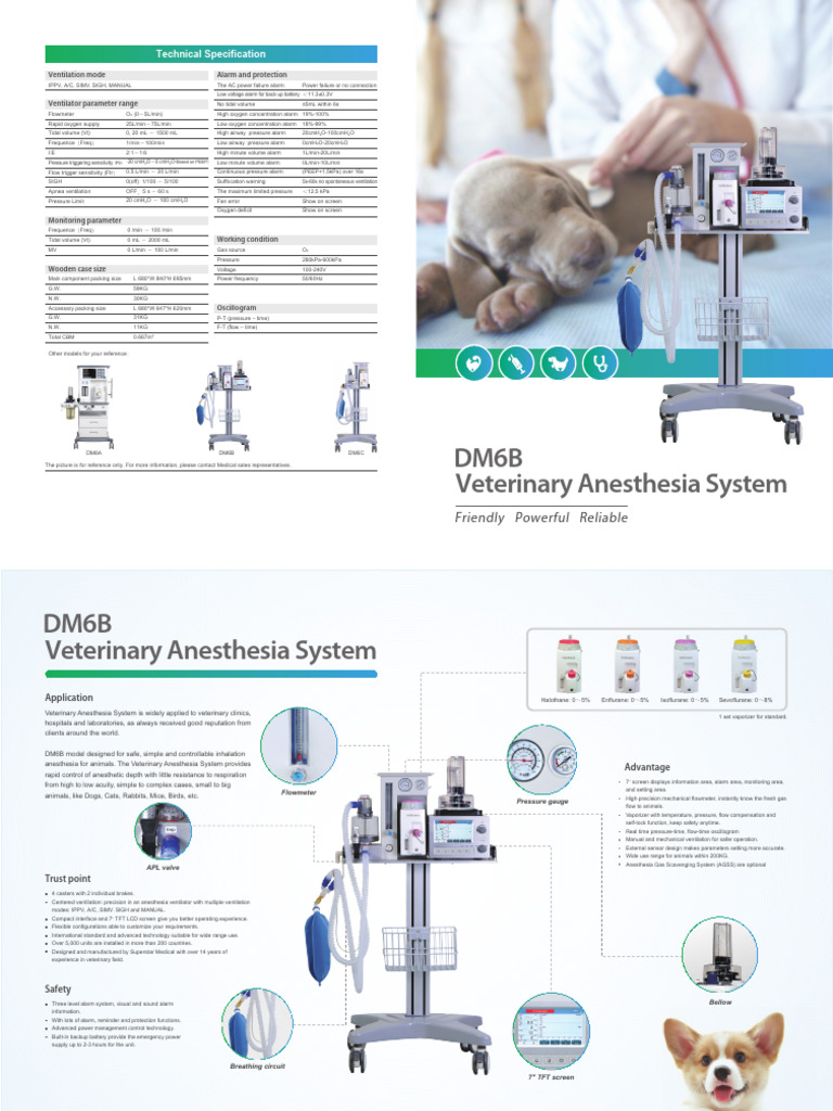Veterinary Anesthesia System Specifications | PDF | Respiration