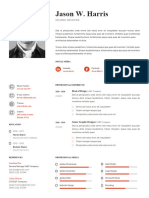 2077professional Resume New