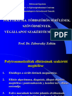 Polytrauma. Többszörös Sérülések. Szövődmények. Végállapot Szakértői Megítélése. Prof. Dr. Záborszky Zoltán