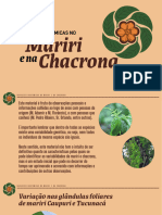 Variacoes Anatomicas Mariri e Chacrona