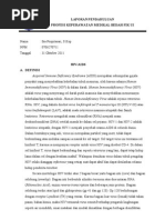 Download 2 LP HIV AIDS by Ika Puspitasari SN72456366 doc pdf