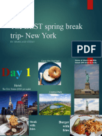 The BEST Spring Break Trip - New York 2