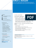 Curriculum Vitae Personalizado