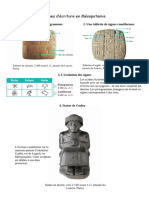 Activité 3 Les Premieres Formes Decriture en Mesopotamie