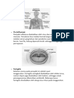 Flu (Influenza)