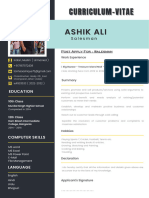 Professional Modern CV Resume