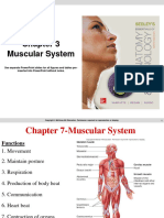 Week 3 Muscular System 1