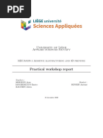 Practical Workshop Report Antoine SENGER