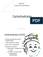 2 - Carbohydrates (Part 1)