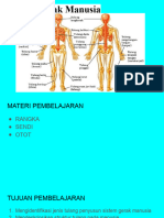 Sistem Gerak Manusia Part 4