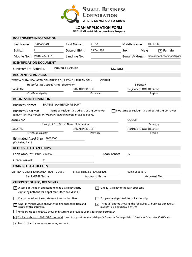 SBC Application Form PDF Identity Document Loans