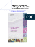Download Private Politics And Peasant Mobilization Mining In Peru 1St Edition Maria Therese Gustafsson Auth all chapter