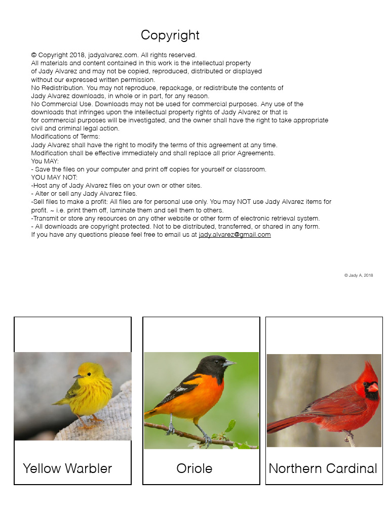 Bird Three Part Cards | PDF