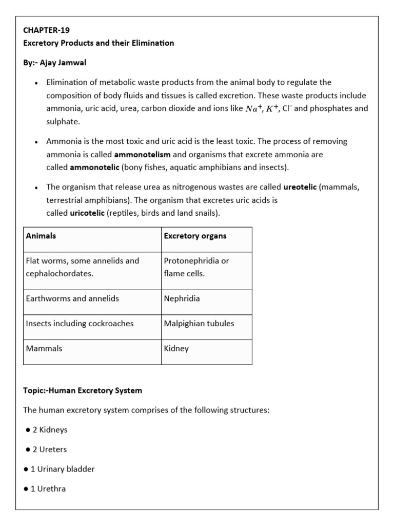 Excretory Products And Their Elimination Pdf Kidney Urinary System