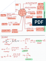 Alcohol Revision