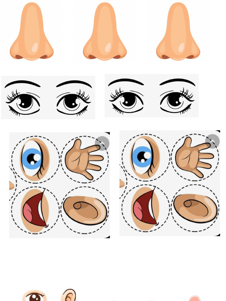 Body Part Nemo | PDF