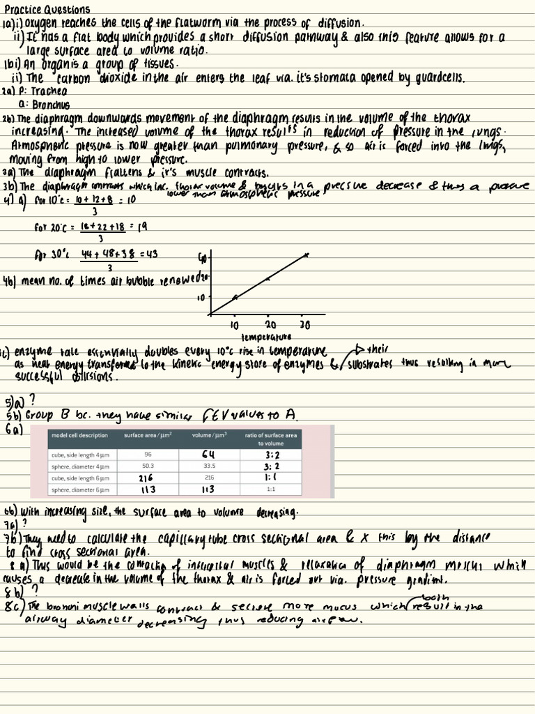 Practice Questions Chapter 6 | PDF