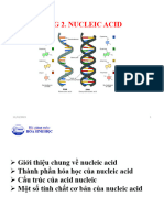 Chương 2. Nucleic Acid