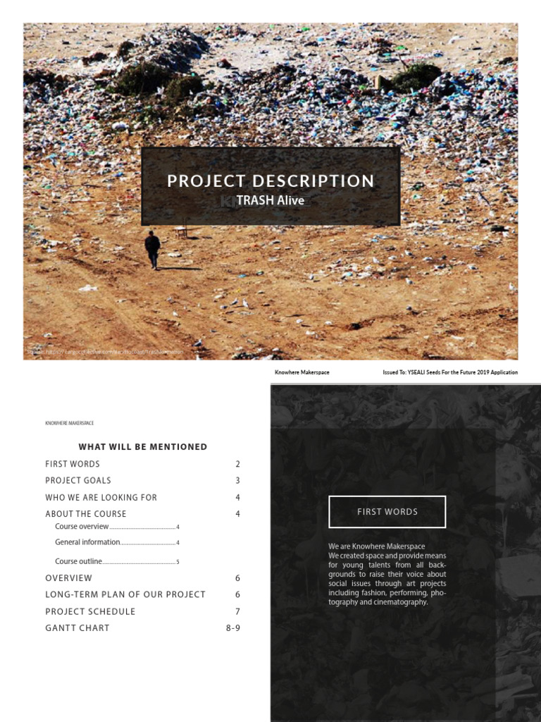 Eco-Friendly Art Project Overview | PDF