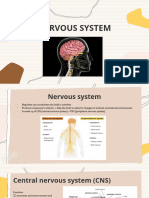 Lesson 8 -Nervous System