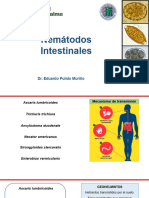 Nematodos Intestinales