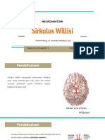 Neuroanatomi_Sirkulus Willisi