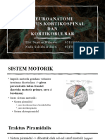 Neuroanatomi Kortikospinal - Kortikobulbar