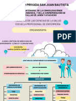 Organigrama Gestión Práctica