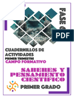 Cuadernillo Saberes - Matematicas 1T - Alumno