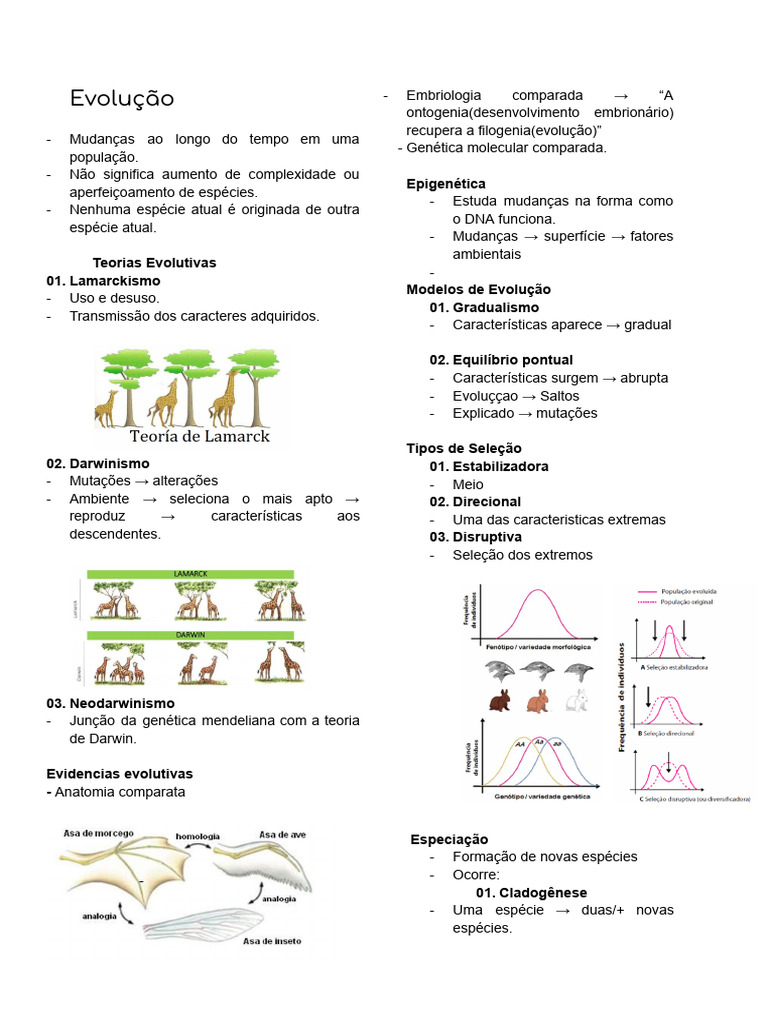 Resumo das Teorias Evolutivas | PDF | Evolução | Espécies