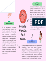 Periodo Prenatal 0 a 6 meses_2