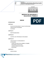 13.5 Medidas de Seguridad y Salud en El Trabajo Ok