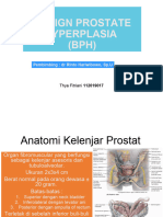 Referat BPH Urologi