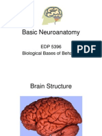 Basic Neuroanatomy: EDP 5396 Biological Bases of Behavior