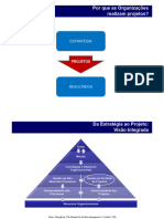 Gestão de Portfólio de Projetos PPM