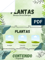 Plantas