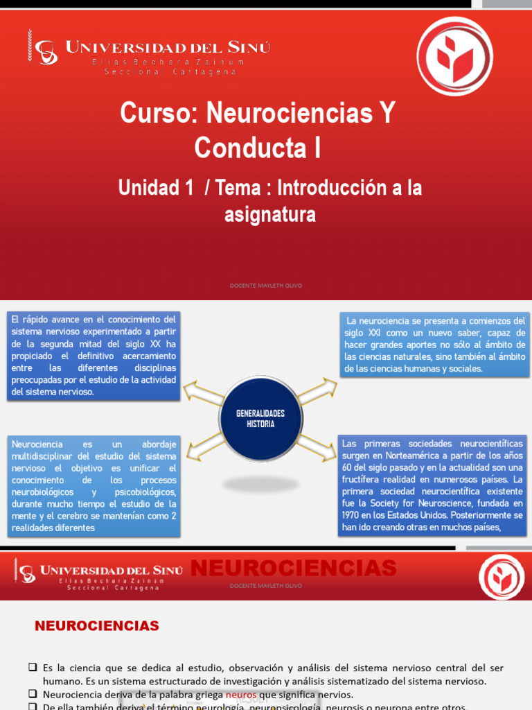 Introducción A Las Neurociencias Presentación | PDF | Neurociencia ...