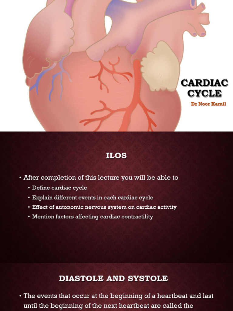 THE CARDIAC CYCLE visual data 2