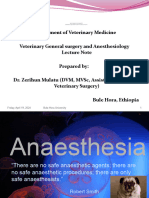 Anaesthesiologyy AS