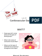 Lab 5 Cardiovascular Examination, ECG and BP