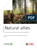 Natural Allies Report