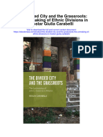 Download The Divided City And The Grassroots The Unmaking Of Ethnic Divisions In Mostar Giulia Carabelli full chapter
