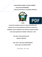 Escuela de Formación Profesional de Ingeniería Ambiental: Cerro de Pasco - Perú - 2022