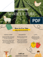 Sustainable Agriculture Illustrative Presentation