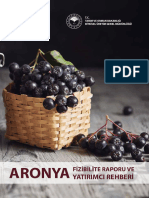 Aronya Fi̇zi̇bi̇li̇te Raporu